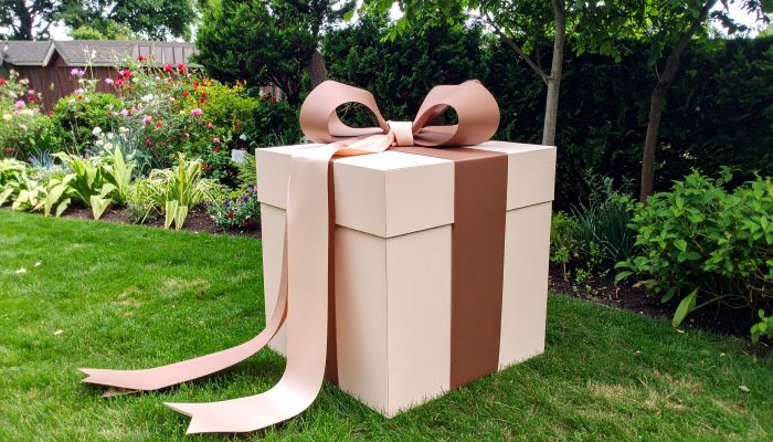 boite de r�valation pour une gender party � remplir de ballons