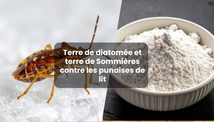 Terre de diatom�e et terre de Sommi�res contre les punaises de lit